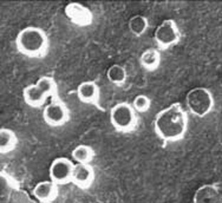 Microscopic image of fine crystal particles